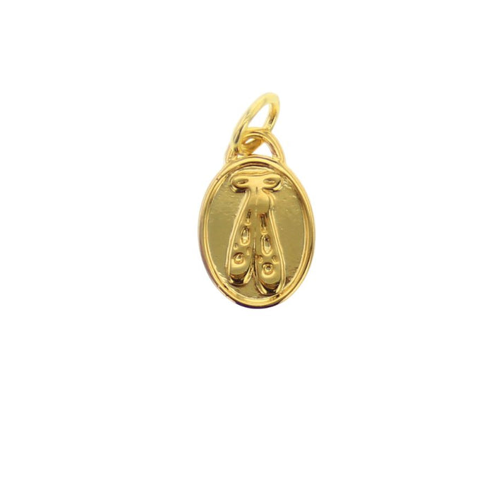 Gold oval charm engraved with ballet slippers