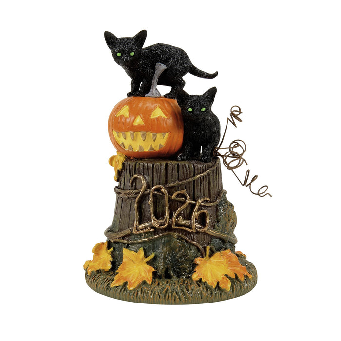 50th Feline Noir, 2026