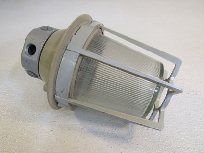 Appleton-Caged-Outdoor-Light-Fixture-600W-11in-x-PS-30-2790-Metal-Glass-440 2