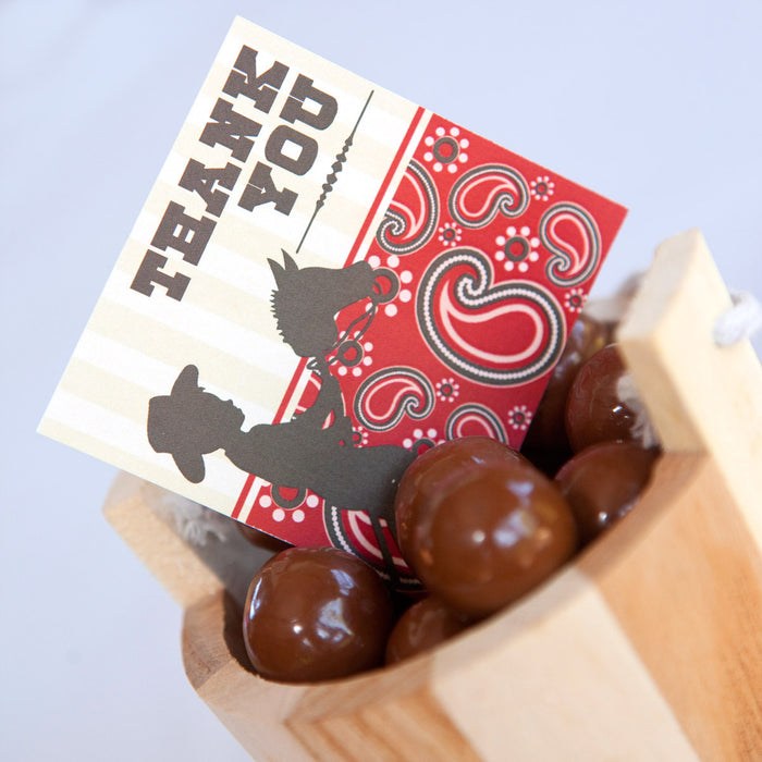 Cowboy Birthday Party Favors