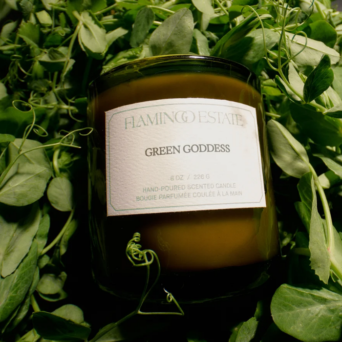 Flamingo Estate Green Goddess candle surrounded by leafy greens