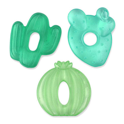 TEETHER_COOLER CACTI