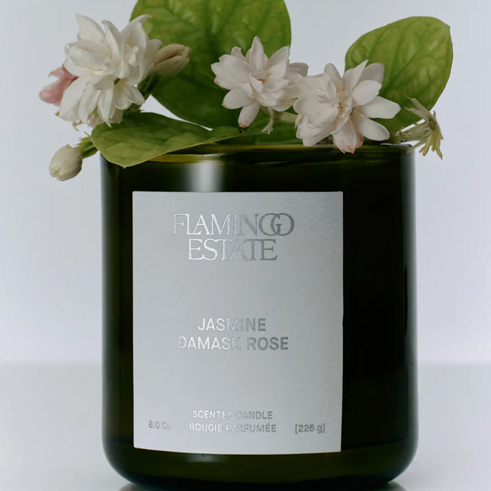 Flamingo Estate Jasmine Damask Rose candle holding white jasmine blooms