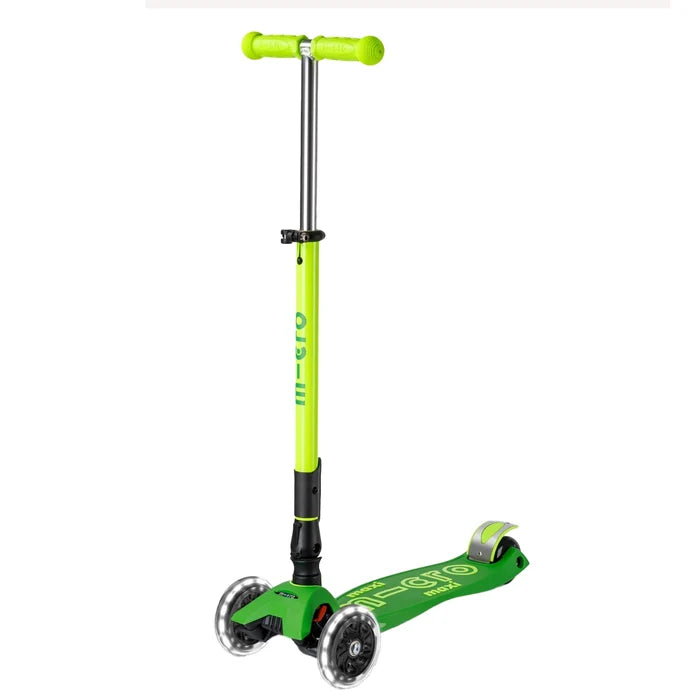 Neon Parrot Green