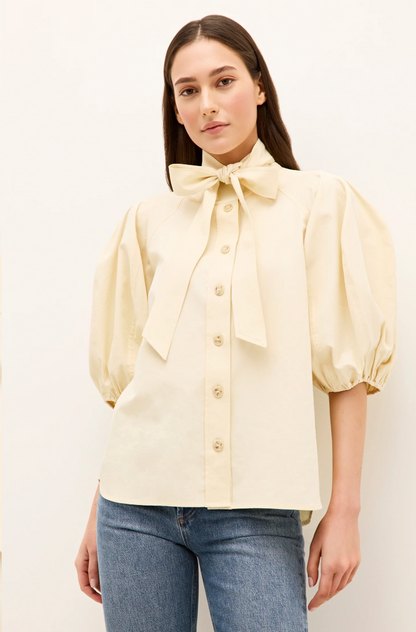 NAVI TOP IN TURTLEDOVE