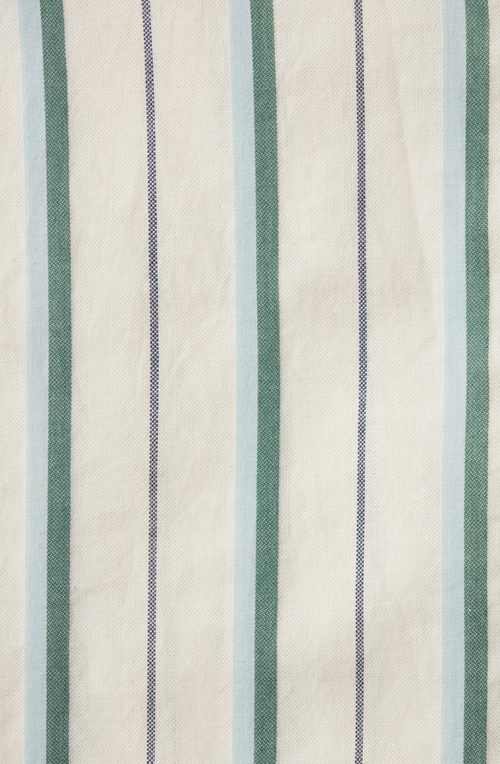 NESSA SHIRT IN VERDE STRIPES