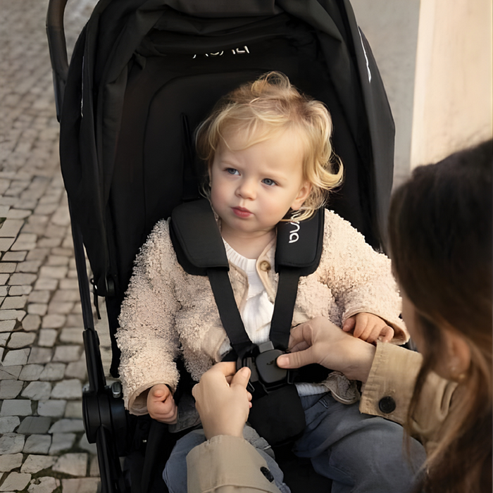 Nuna Flex System Stroller Seat