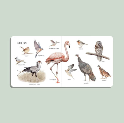 Penguin Random House Our Big Book of Animals (Board Book)
