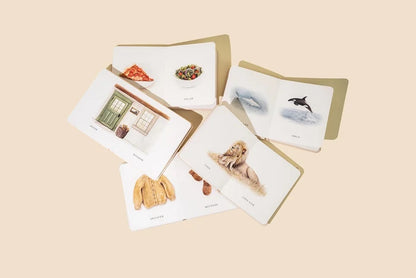Penguin Random House Our Little Library Vol. 2 (5 Board Book Box Set)