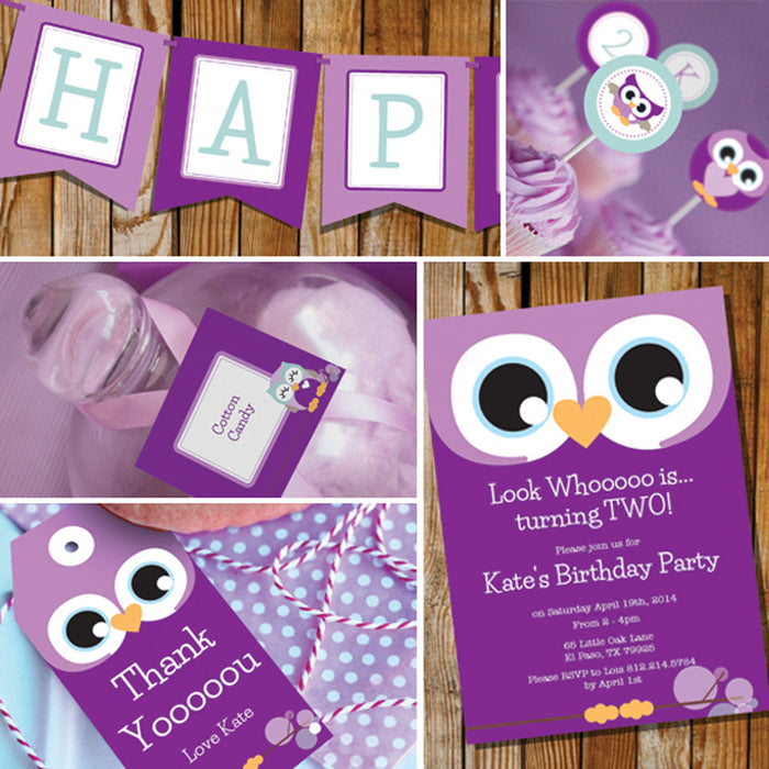 Purple Owl Birthday Party Decorations For A Girl