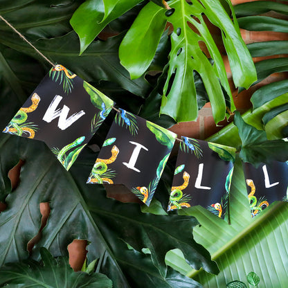 Snake Party Banner