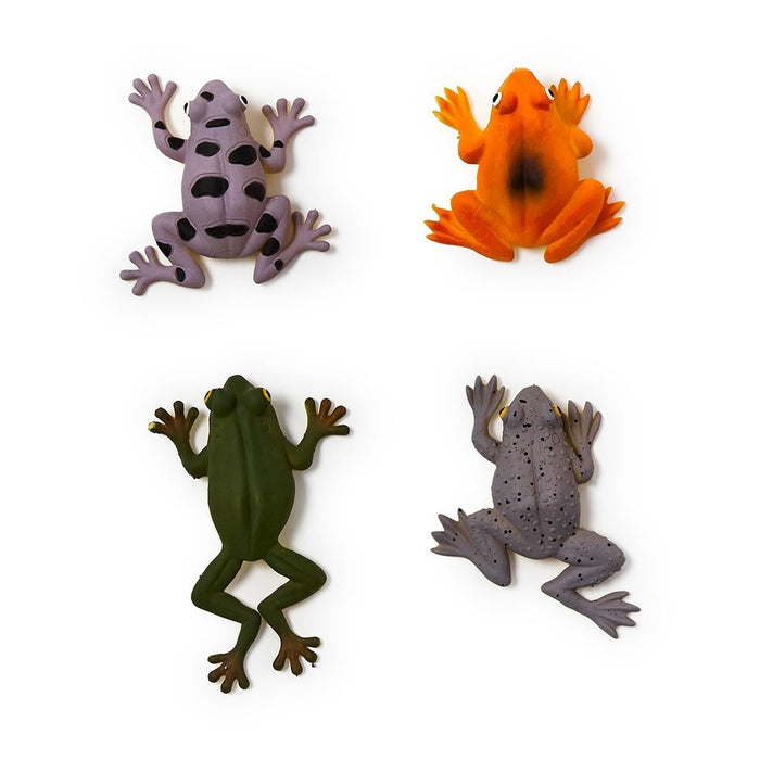 Four squishy toy frogs in assorted colors