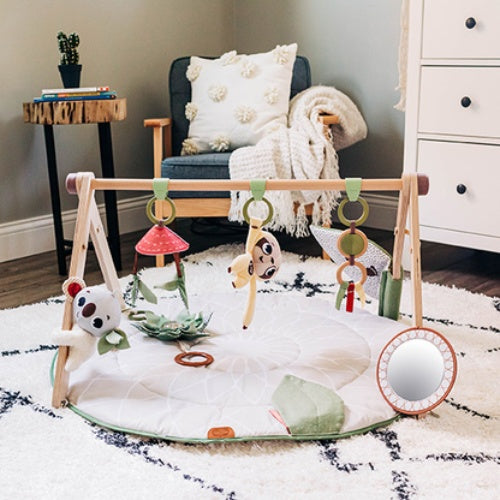 Tiny Love Boho Chic Luxe Developmental Gymini