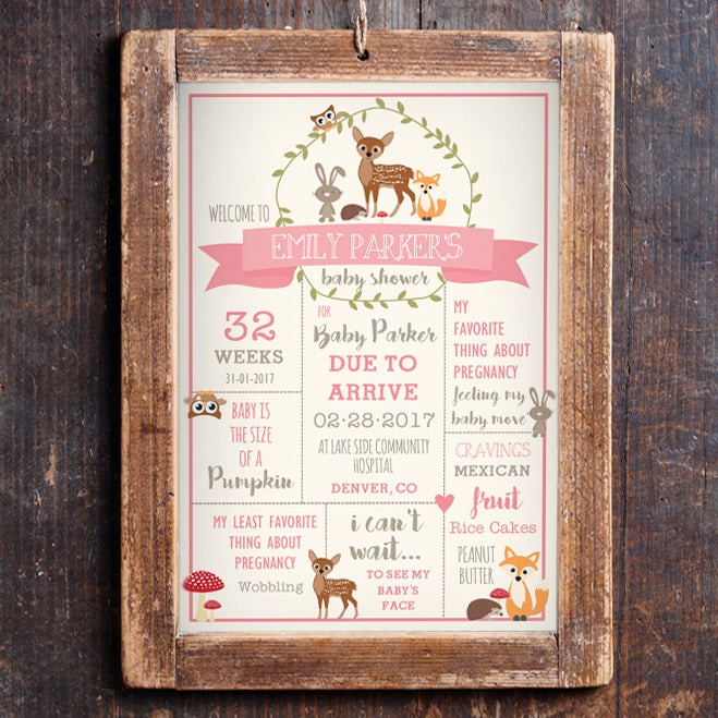 Baby Shower Stats Poster